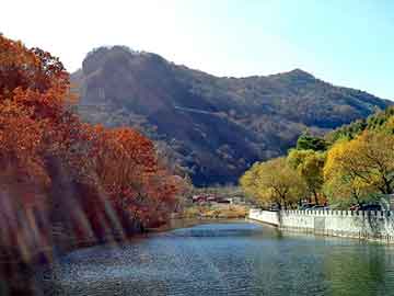 新澳天天开奖资料大全旅游团，汽车年检灭火器